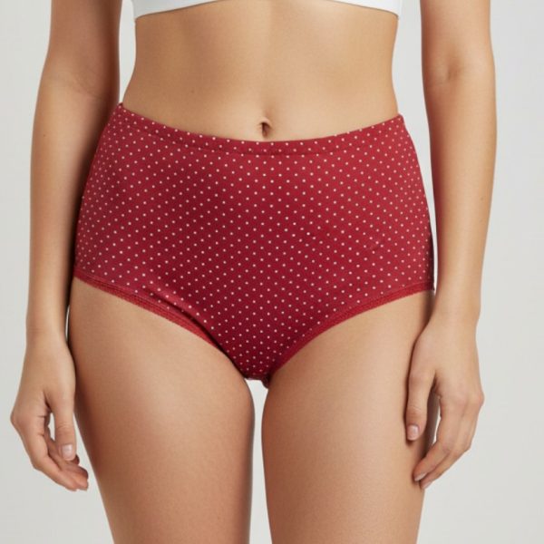 Cuecas para Mulher em 100% Algodão Pack de 4